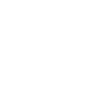 bet29 icon